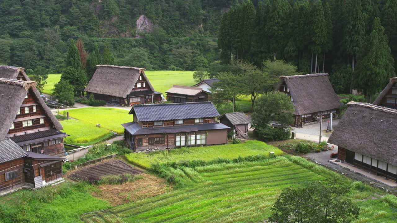 潘女士:日本岐阜县白川乡和五山的历史村落视频下载