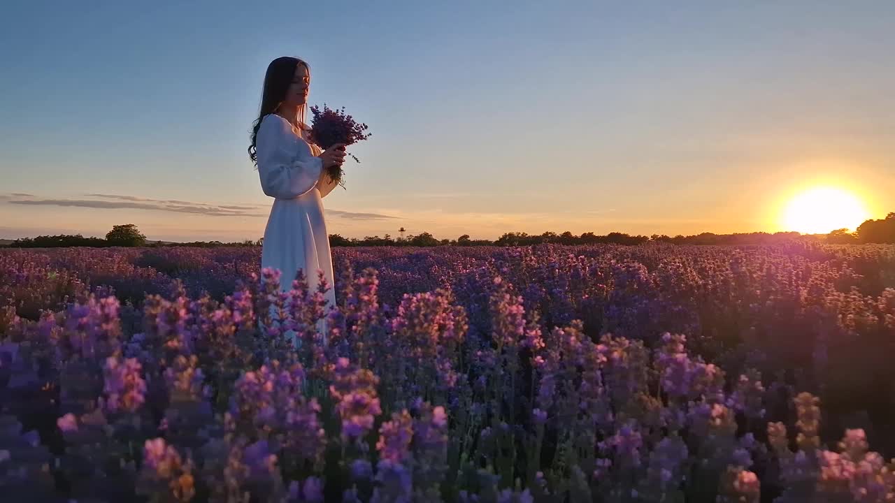 一名身穿白色连衣裙的年轻女子站在薰衣草地里，闻着紫色的薰衣草花束。美丽的新娘与自然和谐相处，婚姻幸福理念，夏日风景如画视频下载