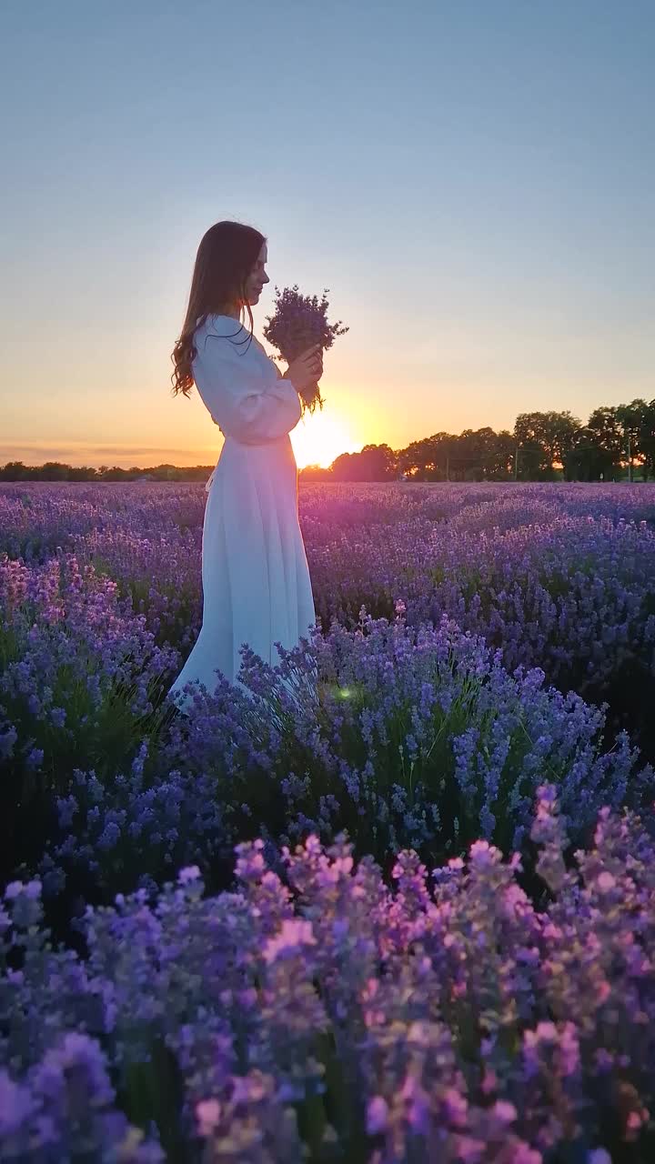 一名身穿白色连衣裙的年轻女子站在薰衣草地里，闻着紫色的薰衣草花束。美丽的新娘与自然和谐相处，婚姻幸福理念，夏日风景如画视频素材