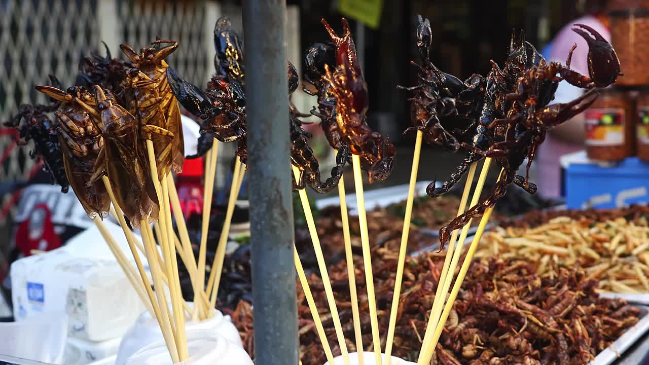 油炸昆虫和蝎子街头小吃在亚洲泰国小贩在曼谷唐人街夜市异国情调的食物。视频下载