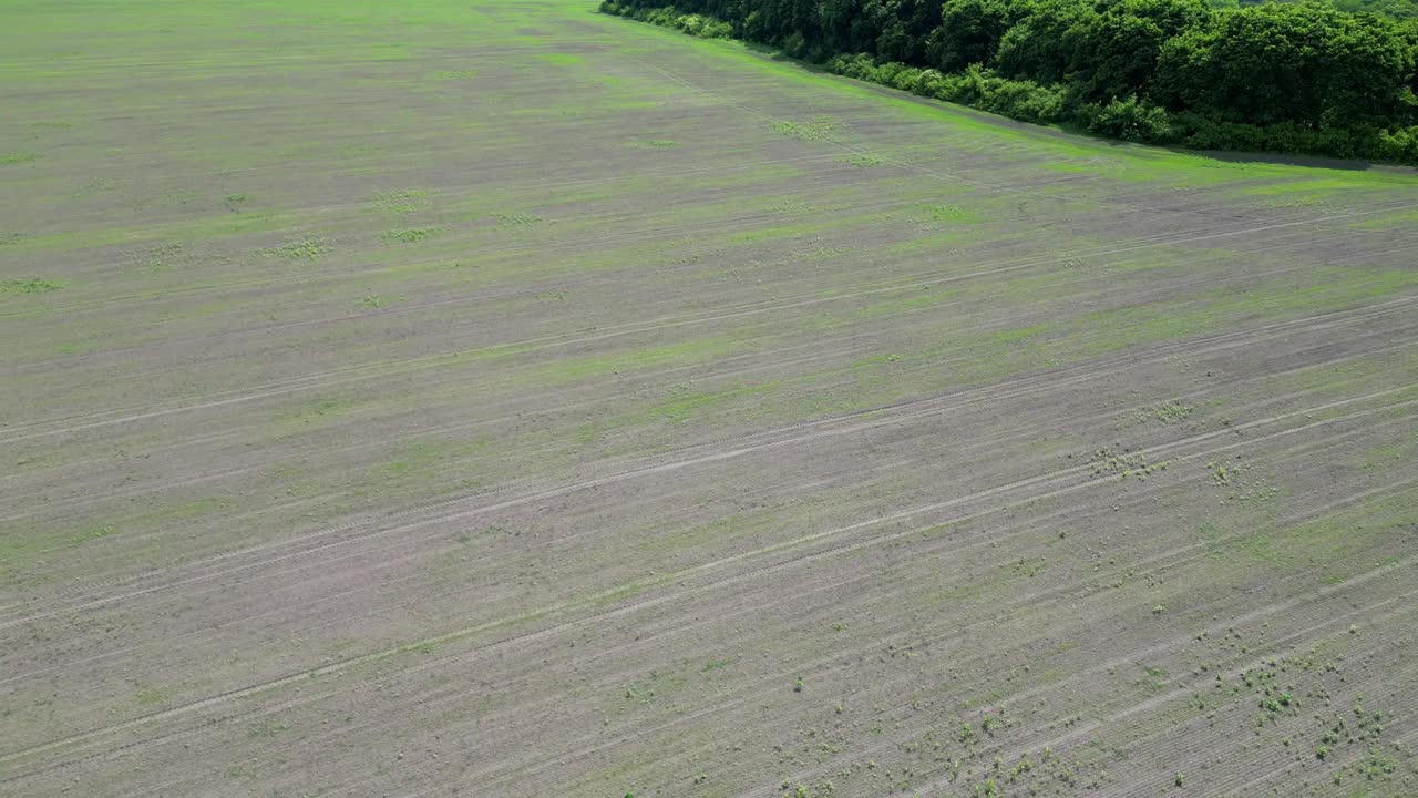 春天新种植的田地的航拍广角照片。视频下载