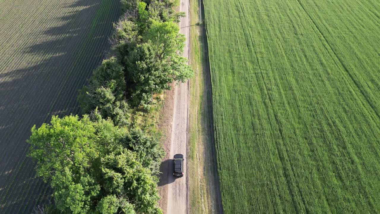 鸟瞰图，一辆汽车行驶在一条泥泞的道路上，穿过郁郁葱葱的绿色农田视频下载