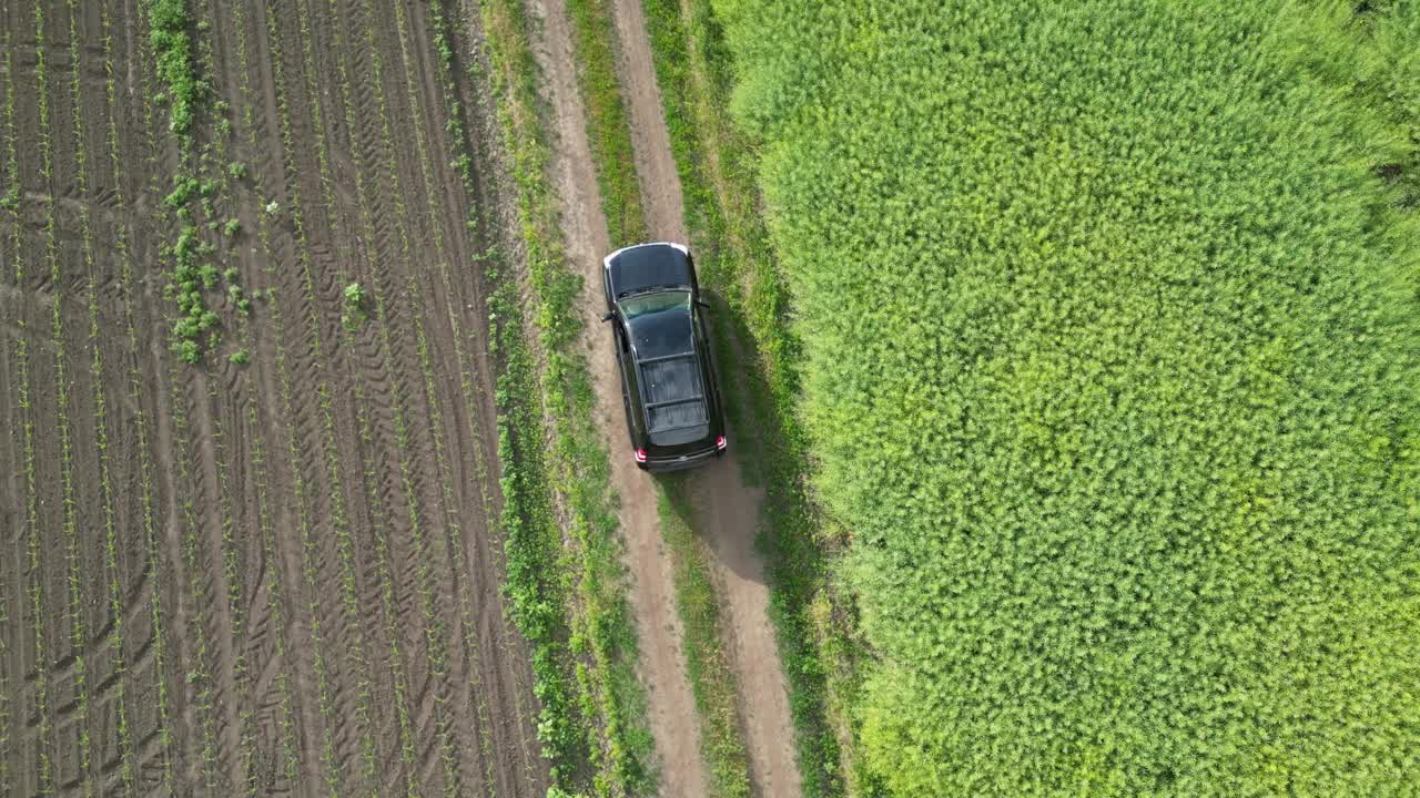 一辆黑色SUV在两个田地之间的土路上行驶。这条路被茂密的绿色植被包围着。这段视频是从空中拍摄的视频下载