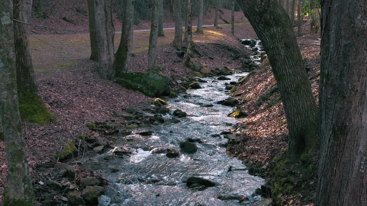 蓝岭山溪视频素材