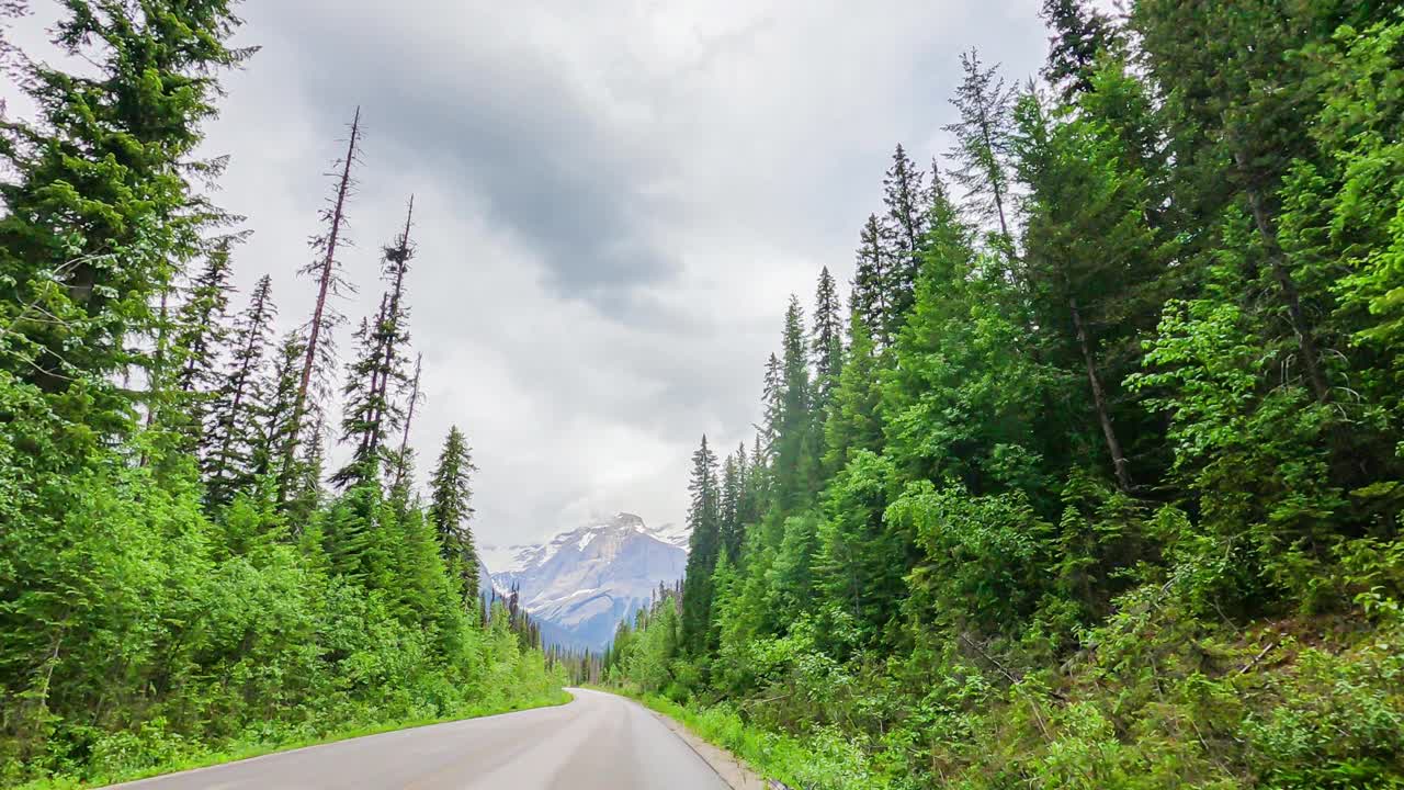 加拿大阿尔伯塔省的山区道路在夏季郁郁葱葱的绿色季节徒步旅行或自然探险。乘坐车辆在小路上旅行，沿着美丽的风景飞行无人机，爱自然的概念。视频下载