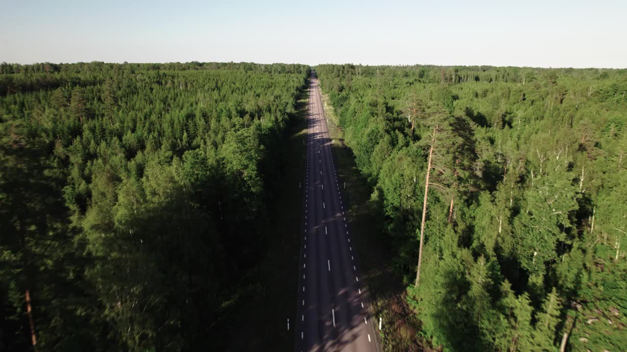 飞过空旷的道路，两边都是茂密的森林视频素材