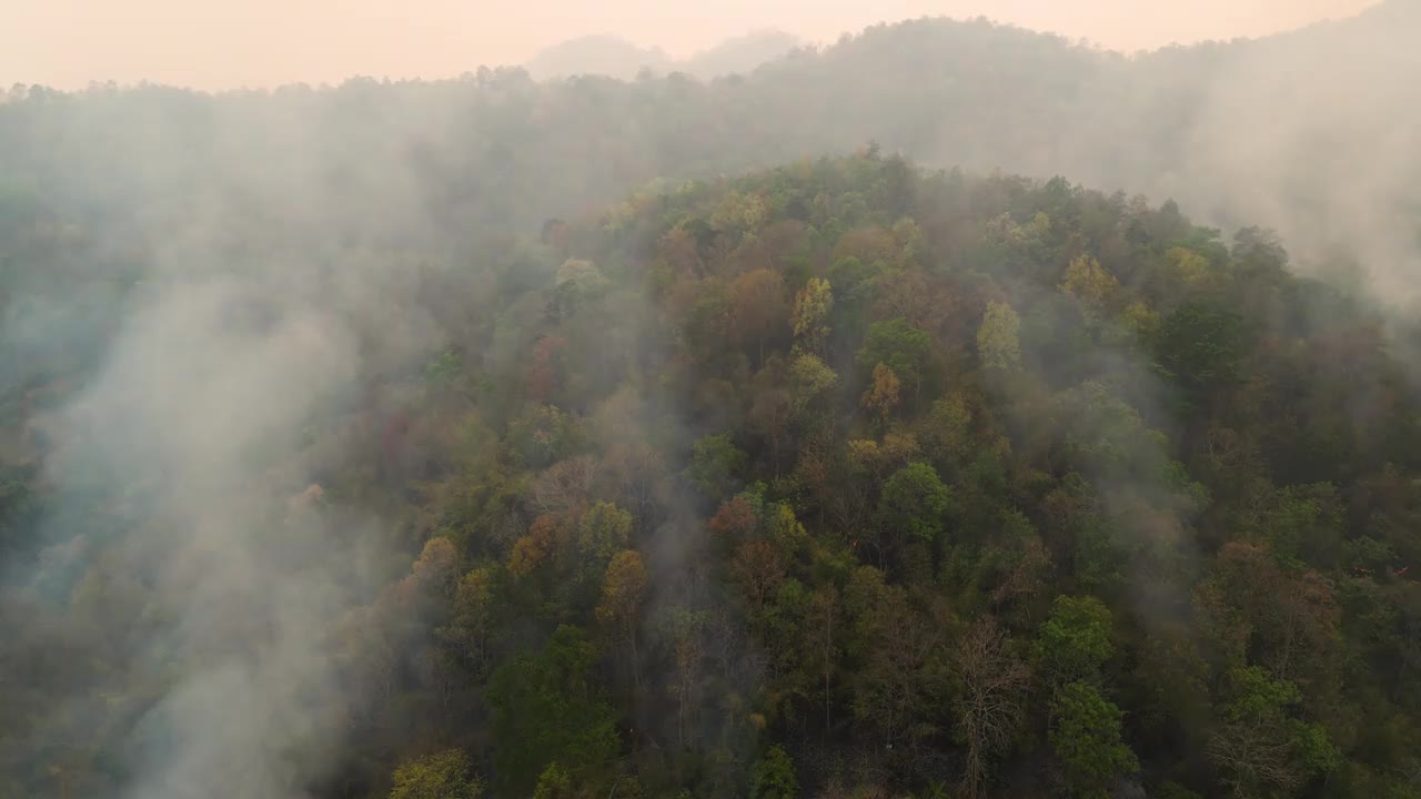 森林火灾，空气污染和pm2.5，全球变暖的环境视频素材