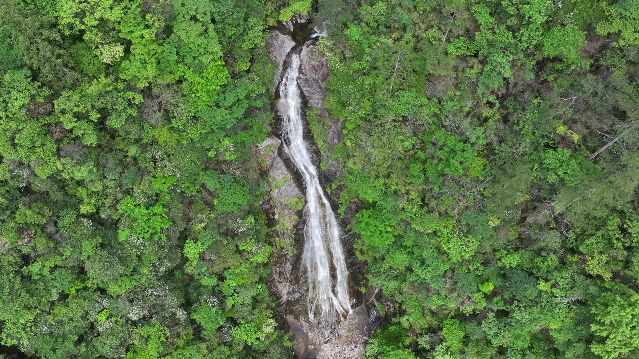 山瀑布视频素材