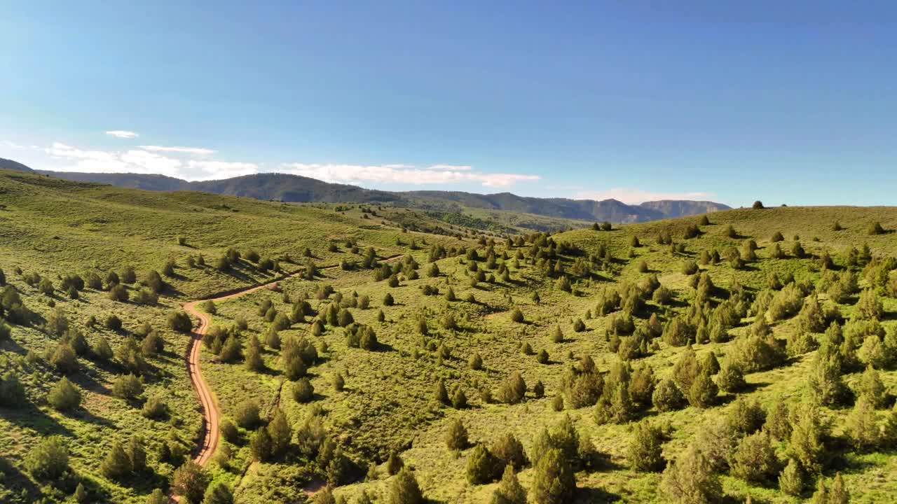 在一个晴朗的日子里，在北美落基山脉的绿草小丘上行走视频下载