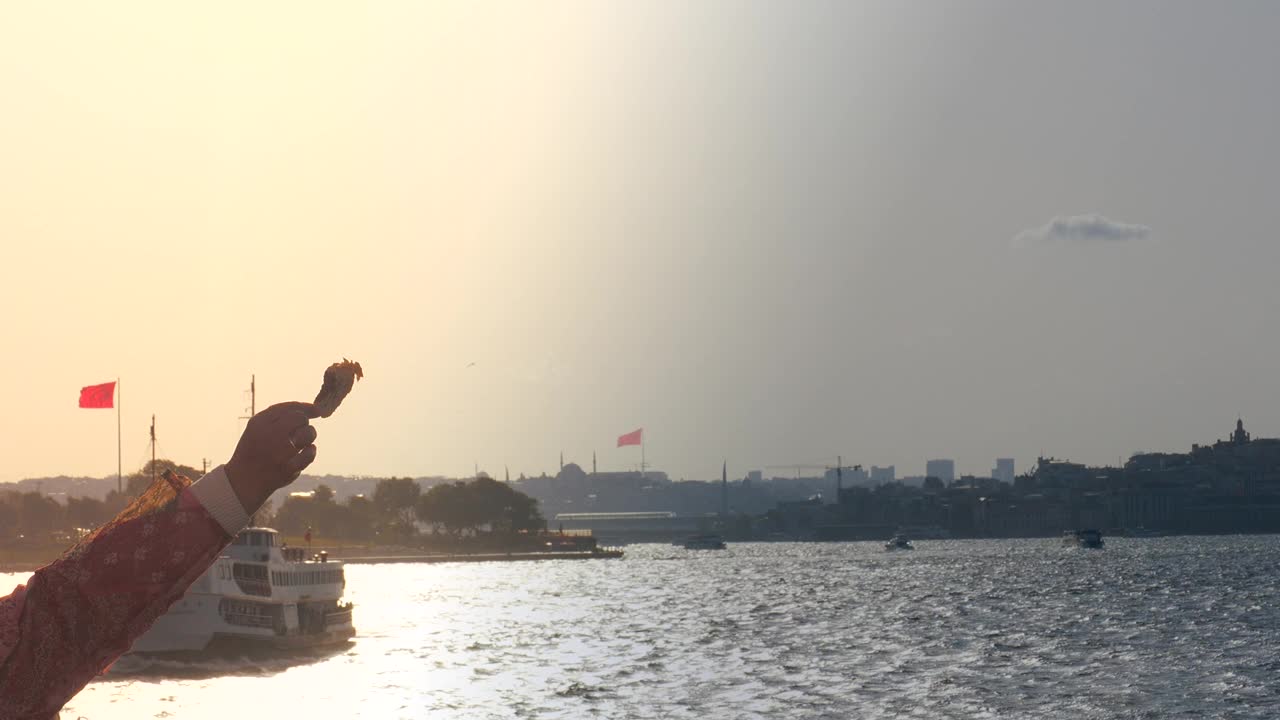 一个人用手在博斯普鲁斯海峡上喂海鸥。视频下载