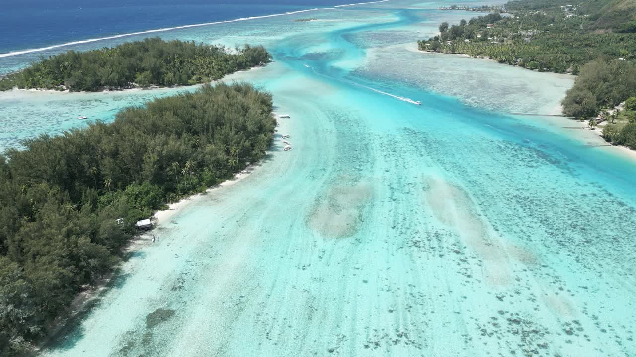 法属波利尼西亚的莫雷亚岛，热带海滩上绿松石般的海水航拍画面视频下载