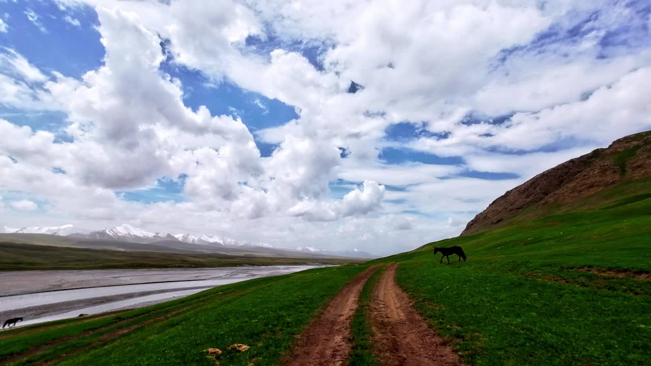 在大河山边巡游，绿油油的高河岸，泥山路上，背后是白雪皑皑的山脊视频素材