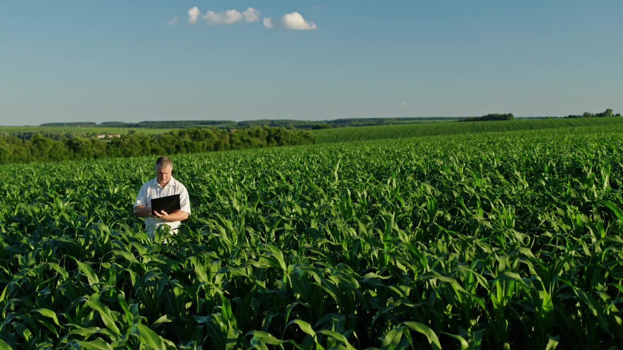 一个农民站在绿色的玉米地里，用着笔记本电脑视频下载