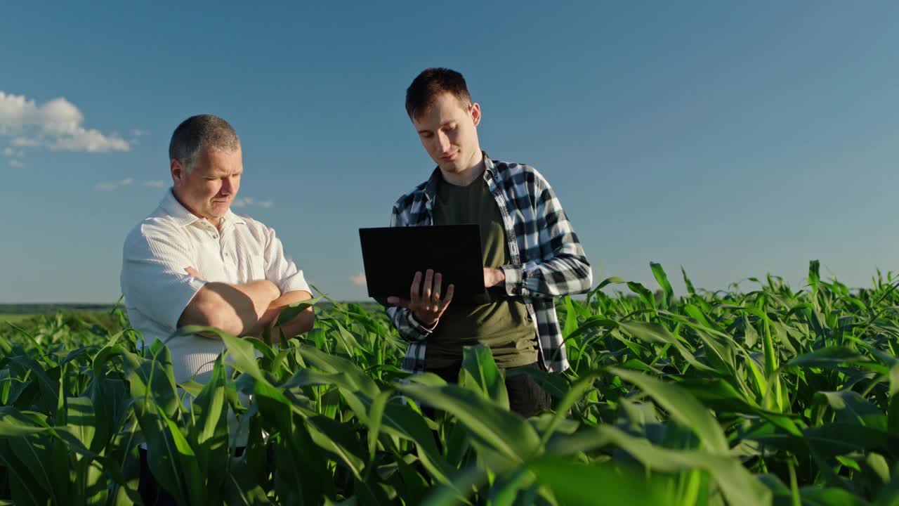 两个不同世代的农民在玉米地工作，使用笔记本电脑。学习和经验转移的概念视频下载