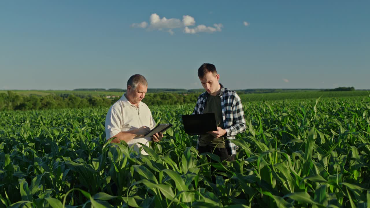 农民父子站在风景如画的玉米地里，使用笔记本电脑和平板电脑。家庭农业视频下载
