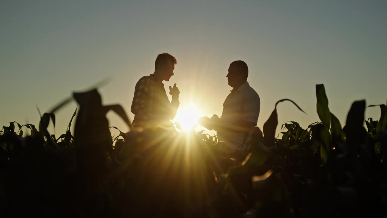 两个农民在田野里交谈的剪影，夕阳如画视频下载