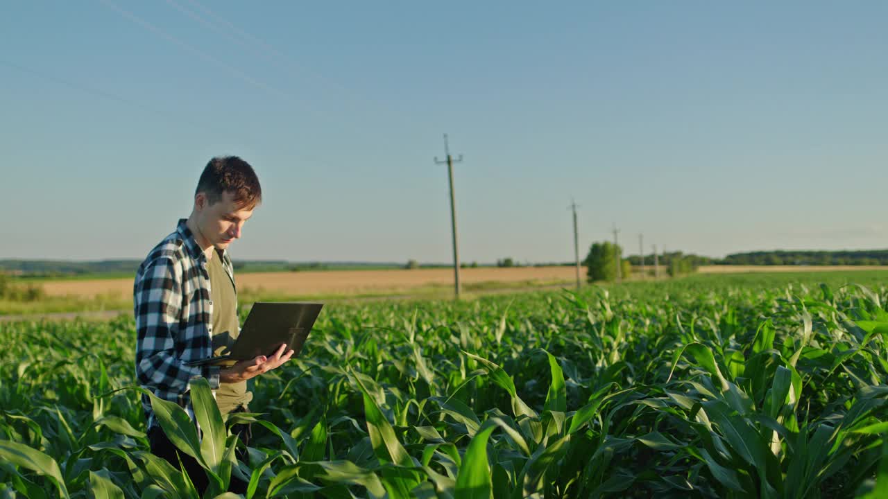 年轻的农民拿着笔记本电脑，站在远处风景如画的玉米地和麦田的背景下工作视频下载