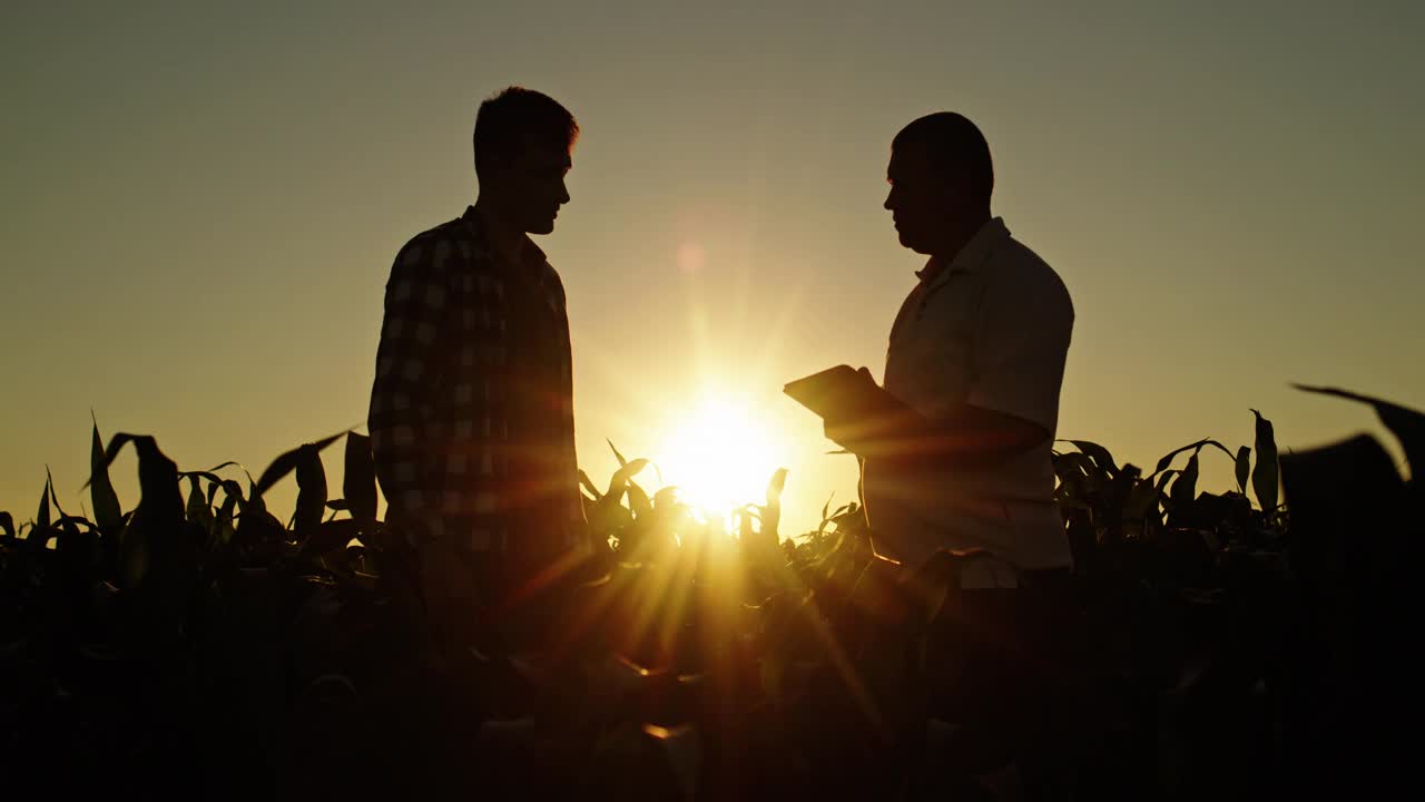 以夕阳和玉米地为背景，两个男人自信地握手视频下载