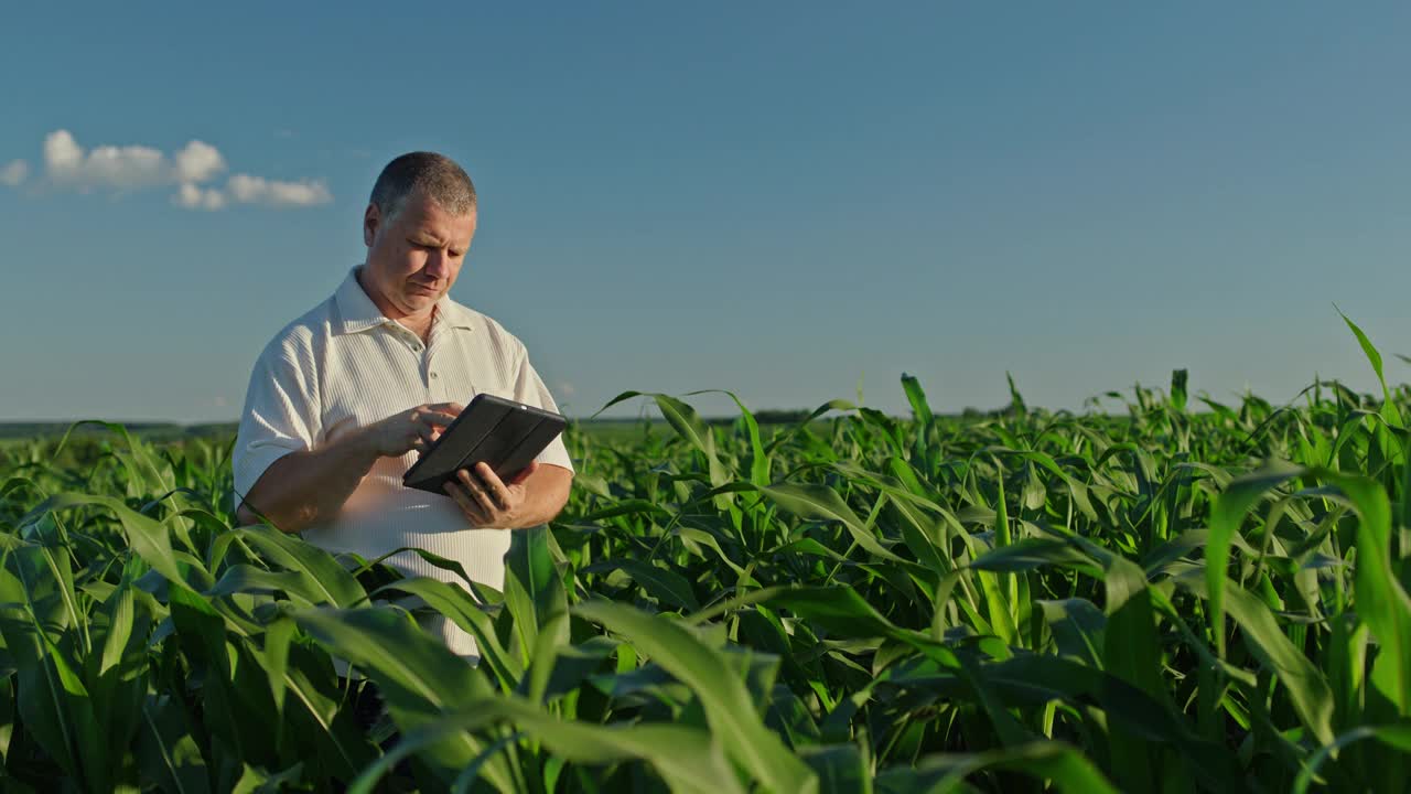 一个农民站在远处绿色的玉米丛中，手里拿着写字板视频下载