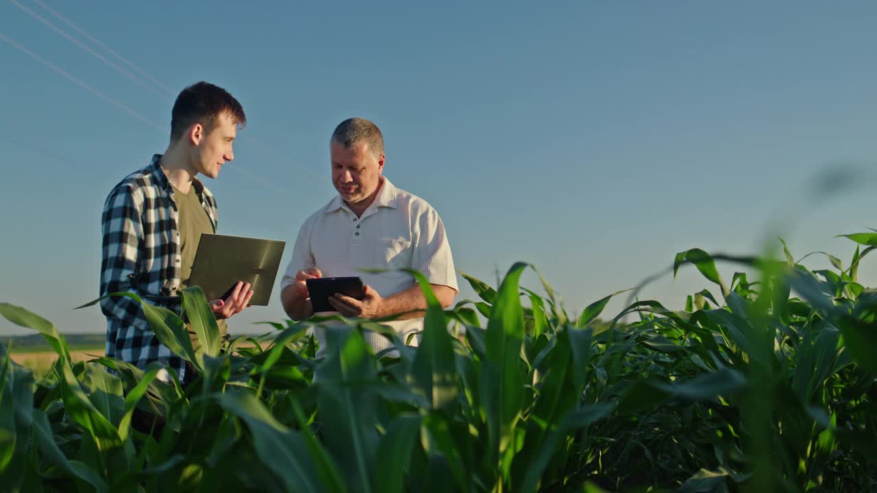 两个农民在玉米地里聊天，用的是笔记本电脑和平板电脑。农业创新视频下载