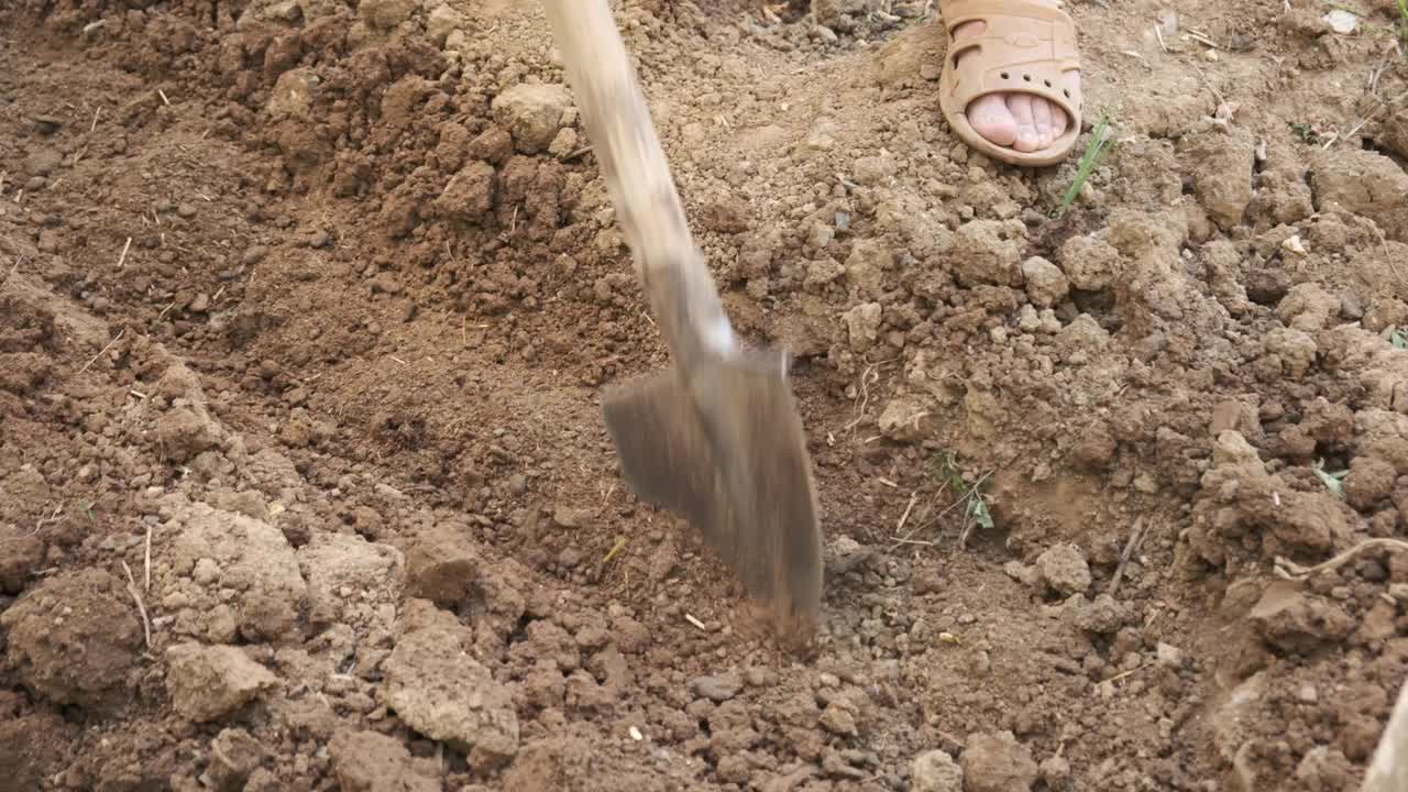 人们把倒在地上的有机肥和土壤混合在一起视频下载