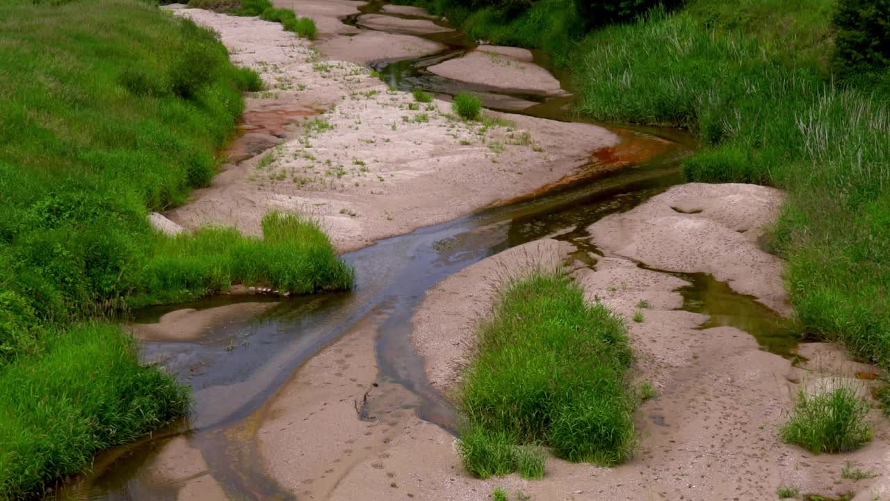 小溪蜿蜒穿过郁郁葱葱的绿色植物和沙质的河岸，在宁静的自然环境中展示温柔的水流和充满活力的草生长视频下载
