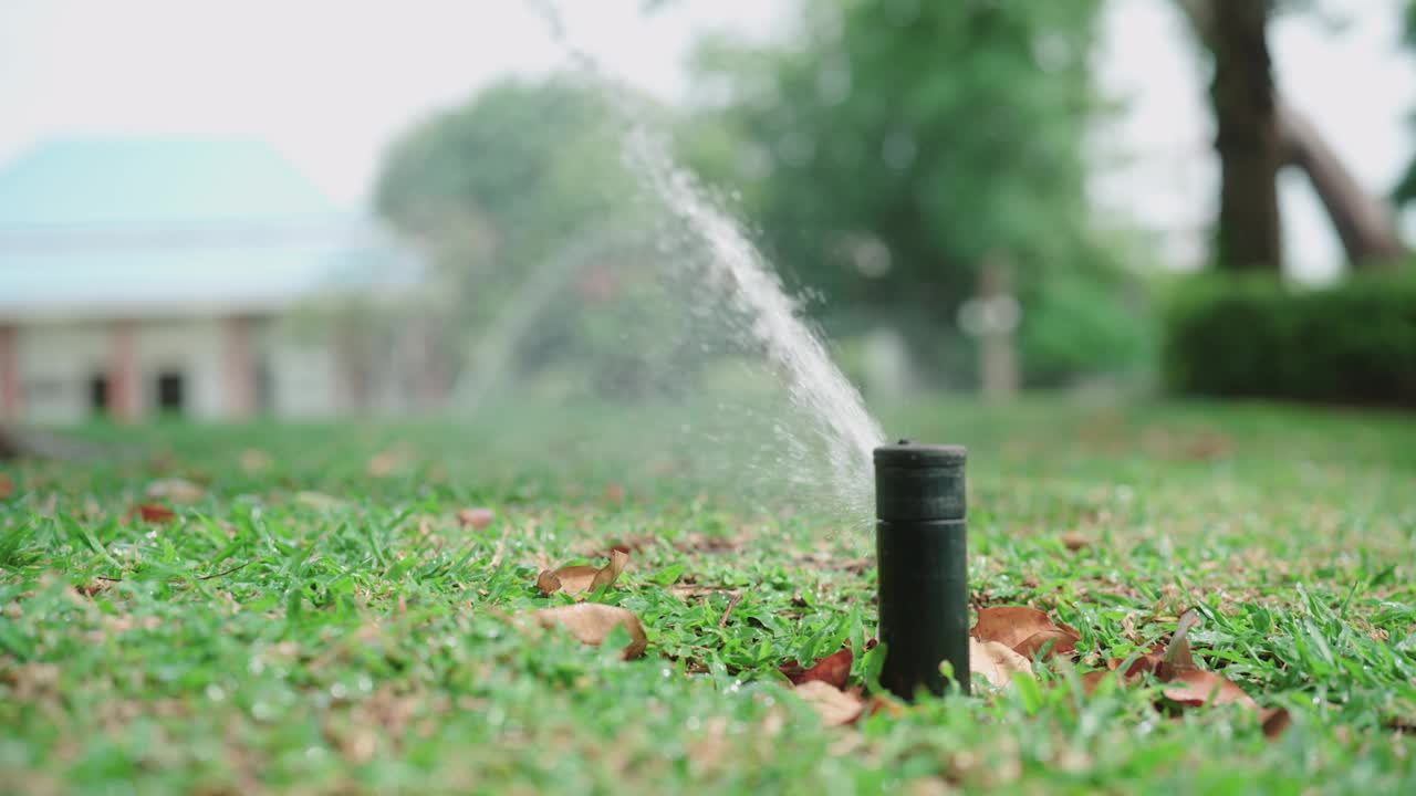 洒水器在后院周围喷水视频素材