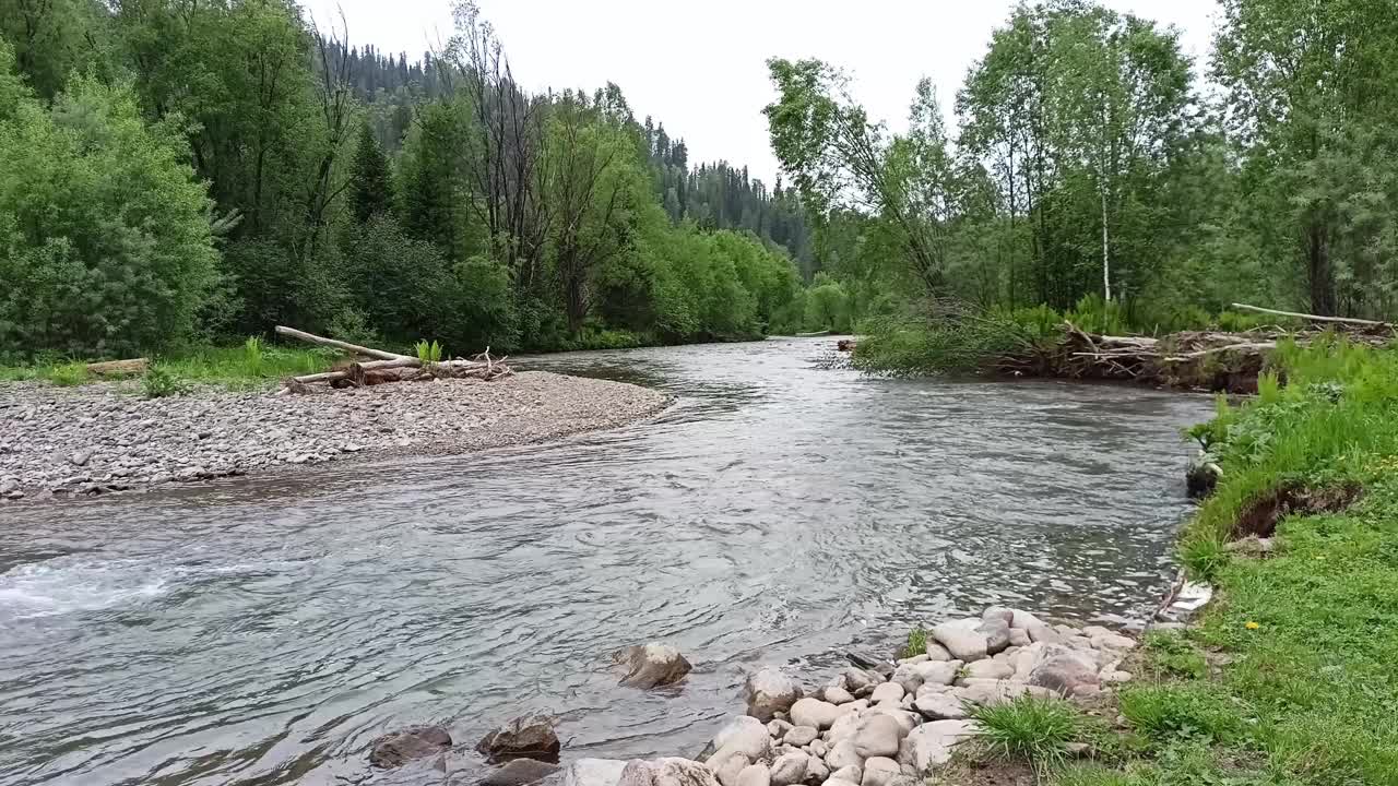 在一个阴天，一条美丽的湍急河流的弯道，卵石堤岸和灌木丛从山上流过，穿过一片夏日森林。视频下载