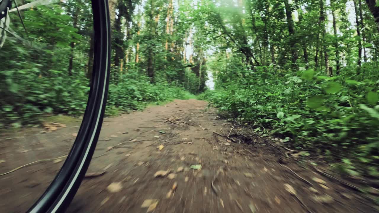 骑在森林小道上的自行车手低POV cycling_11656视频下载