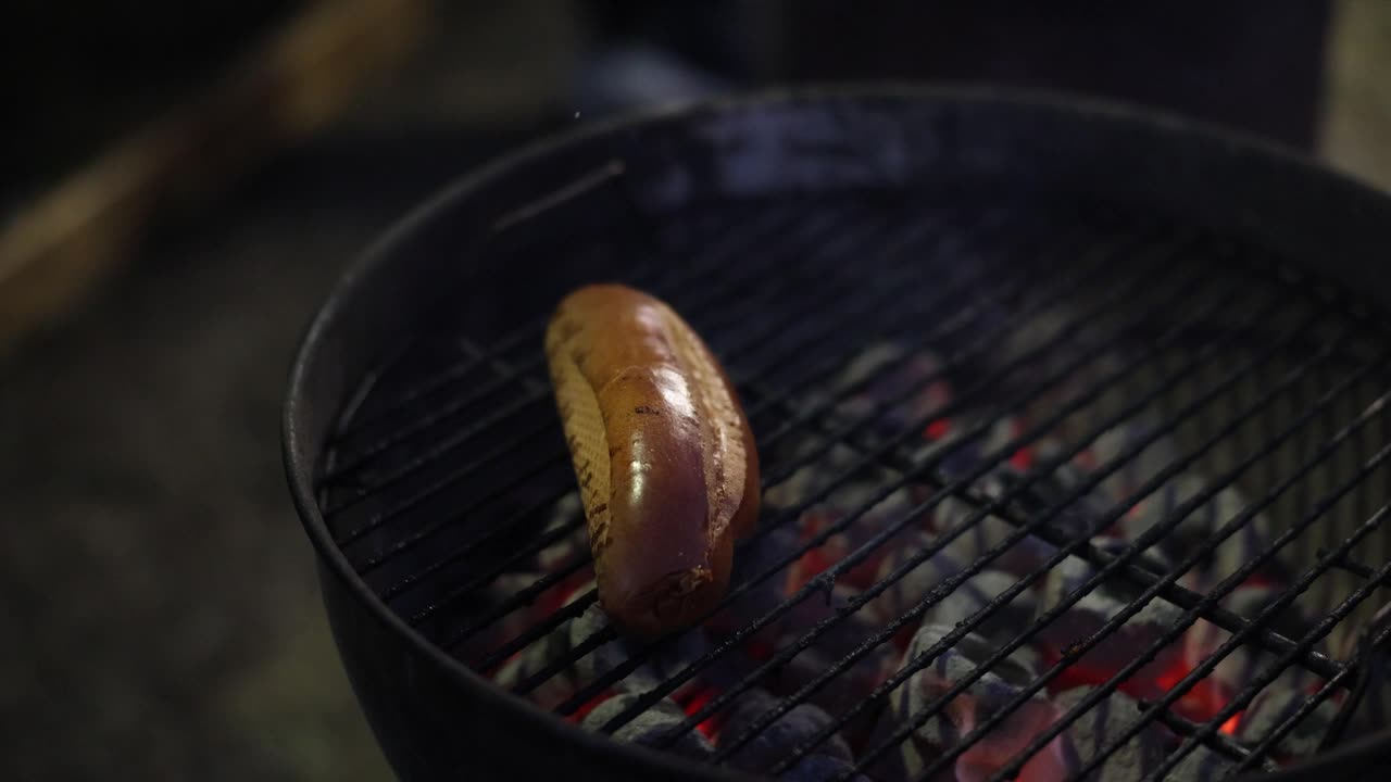 在烤肉架上烤着的一根香肠视频素材