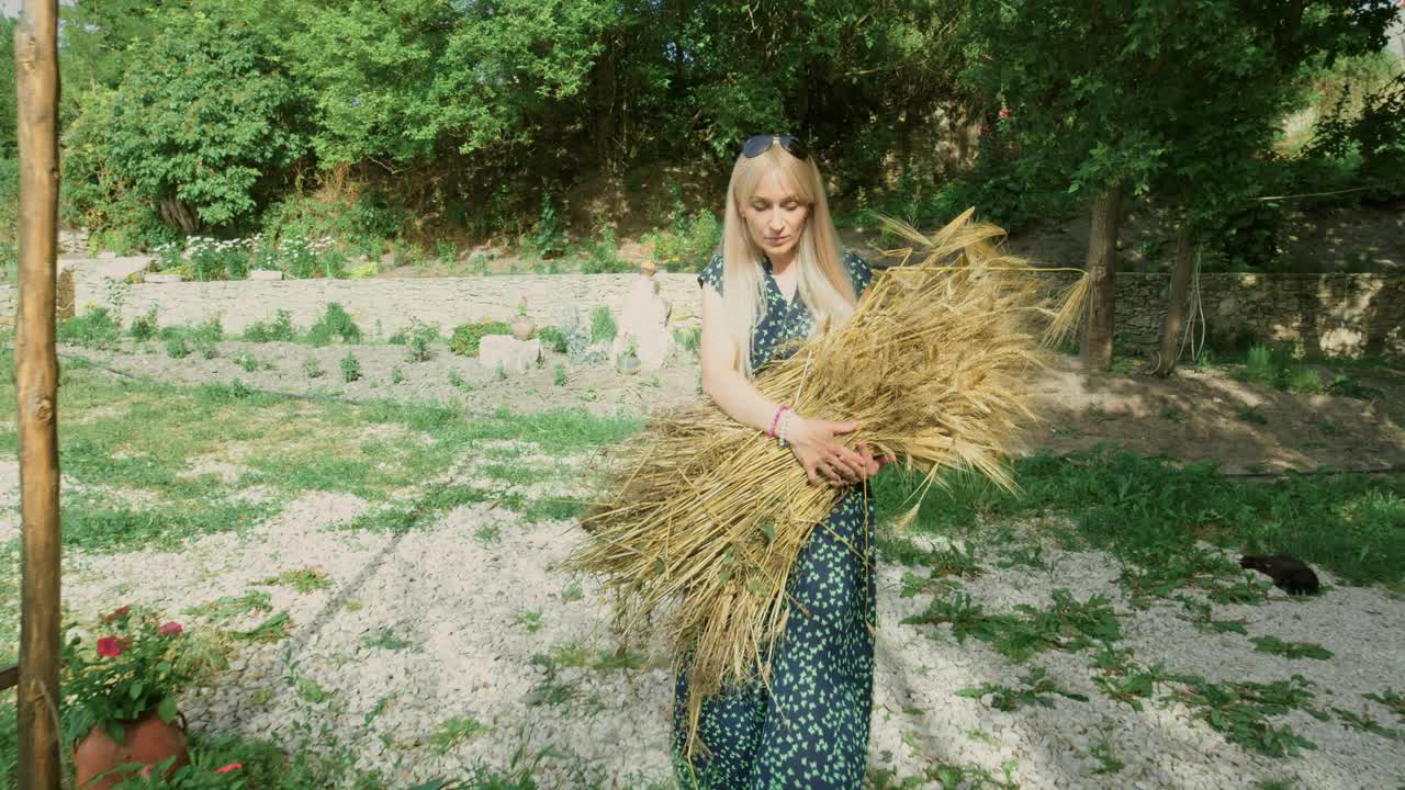 用乡村篮子搬运小麦的妇女视频素材