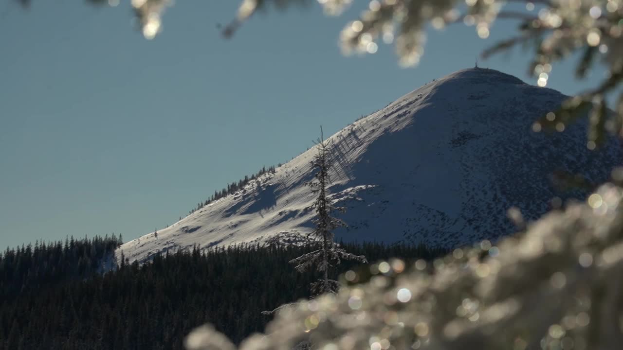 Homyak。从结霜的树枝上看白雪皑皑的山峰。戈尔甘尼山脉在冬季。喀尔巴阡山脉，乌克兰视频下载