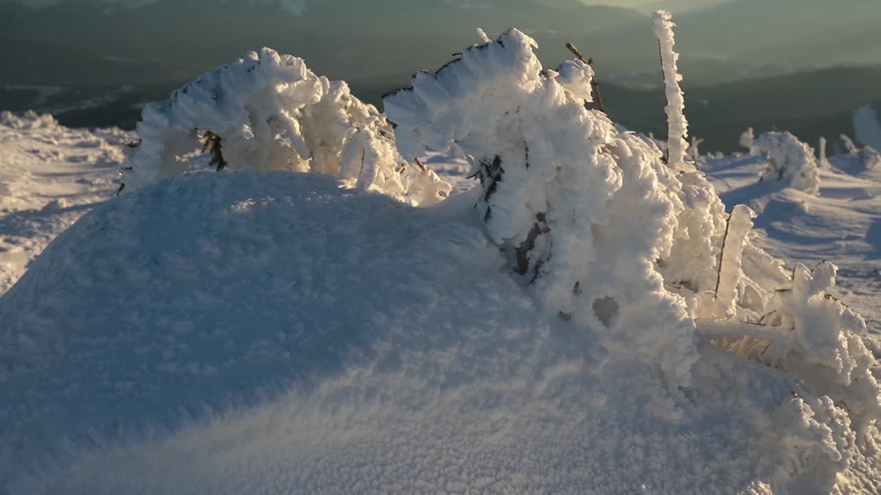 下雪的冬天背景。冬天山顶上被雪覆盖的树。Gorgany范围。喀尔巴阡山脉，乌克兰视频素材