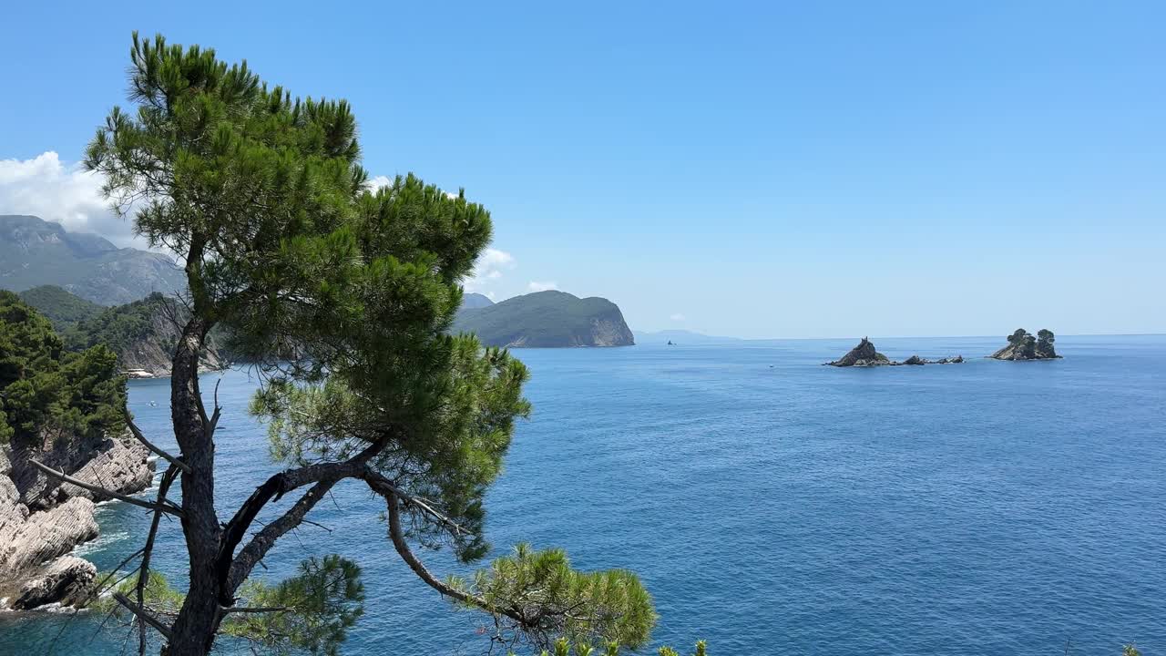 蓝色的大海和松树在黑山的岩石海岸视频素材