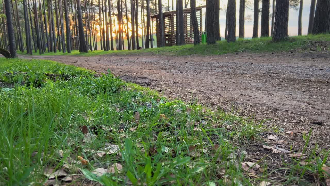 摩托车手在日落时骑在肮脏的森林路上。骑摩托车沿着森林湖岸边。摩托车车轮的特写镜头。背景中的树木和蓝天视频素材