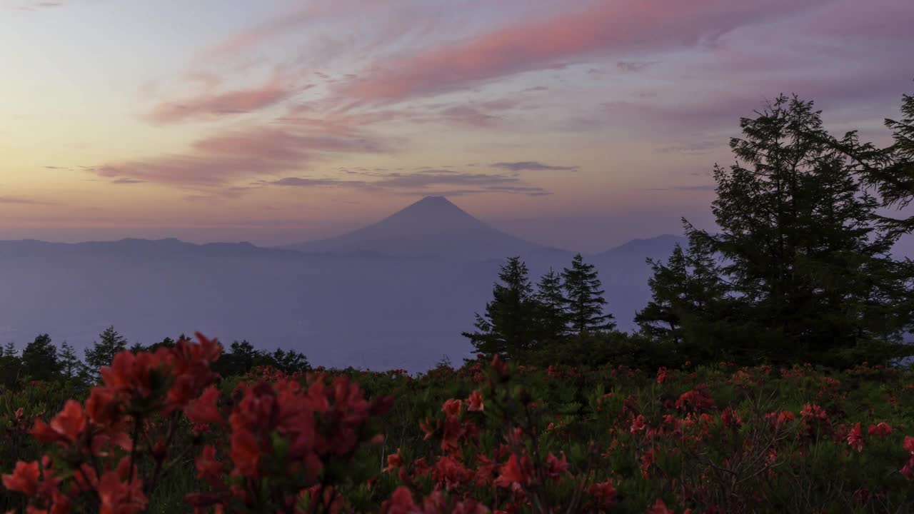 富士山的晨光和阿马里山上盛开的杜鹃花视频下载