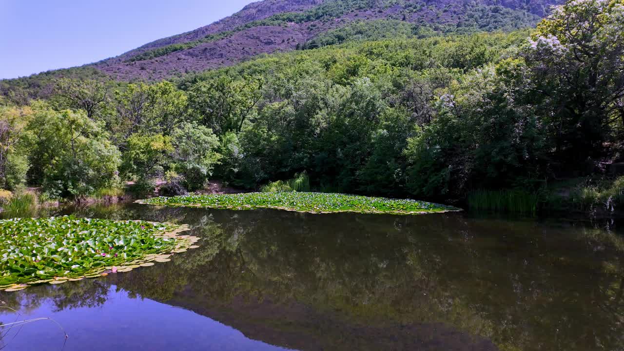 一个宁静的湖泊坐落在克里米亚山脉，周围是郁郁葱葱的绿色植物，反映出清澈的蓝天。视频素材