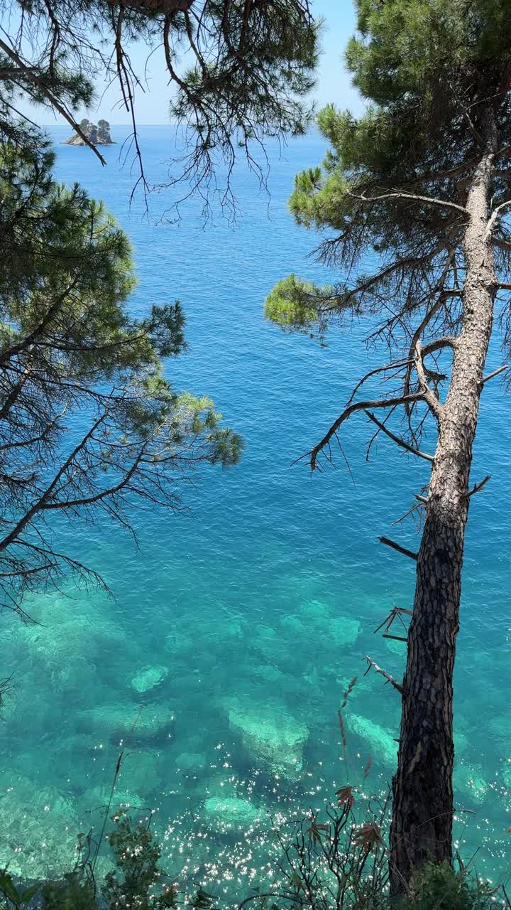 美丽的自然地中海海岸蓝色的大海，松树，岩石，垂直视频视频素材