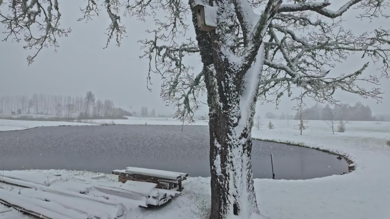 白雪覆盖的湖泊和树木营造出一种宁静的冬季景色和宁静的气氛视频素材