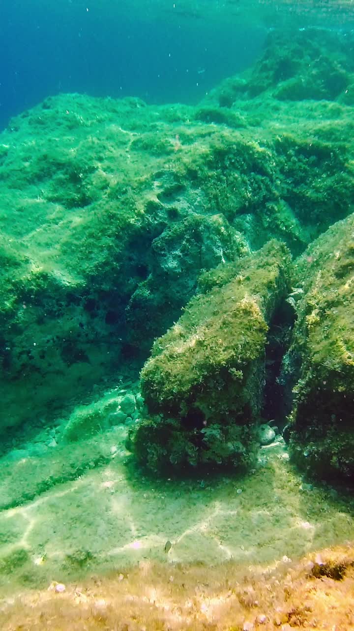 阳光明媚的夏日，亚得里亚海的海底。垂直视频视频素材