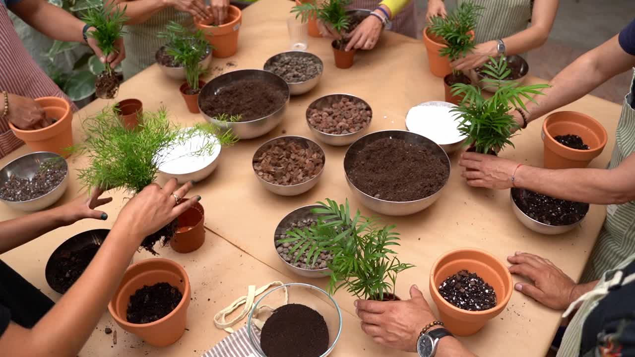 植物护理车间。顶视图表与室内植物，碗，盆和土壤混合物视频下载