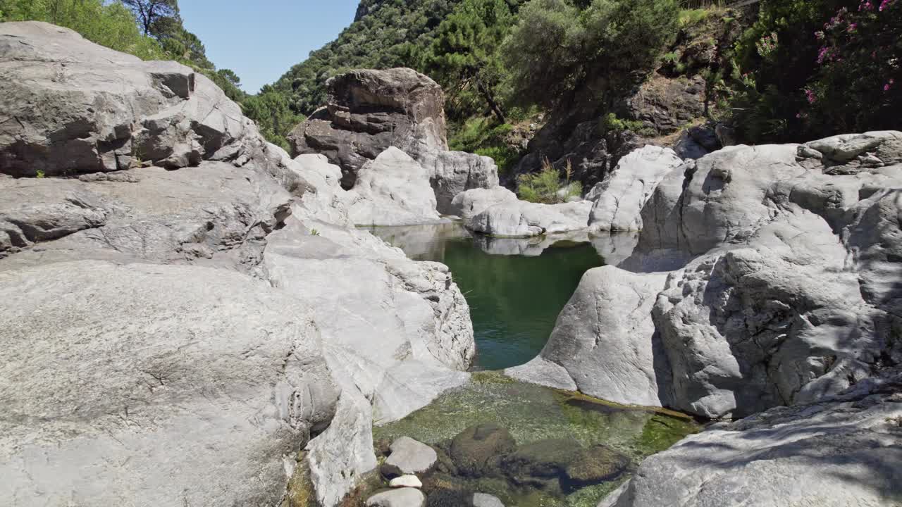 在郁郁葱葱的绿色森林景观中探索宁静的岩石小溪是一种美丽的沉浸视频下载