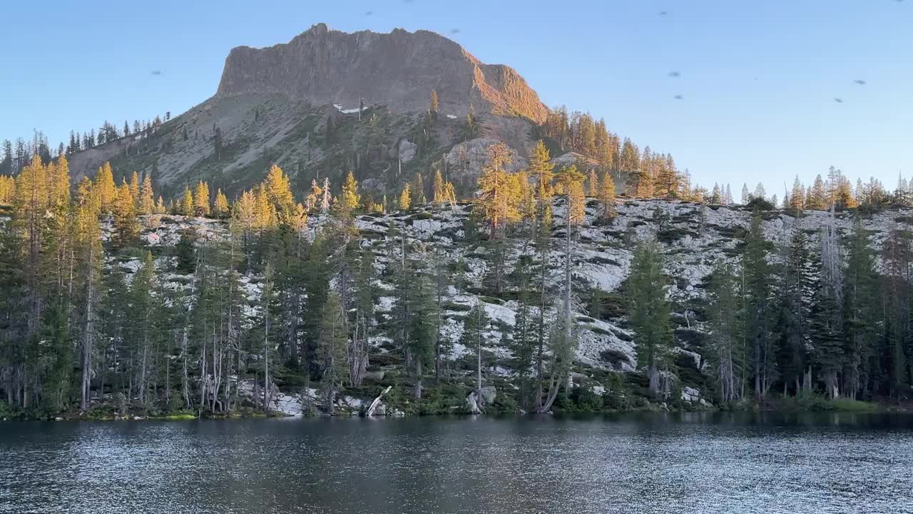 全家徒步旅行，一起探索加州视频素材