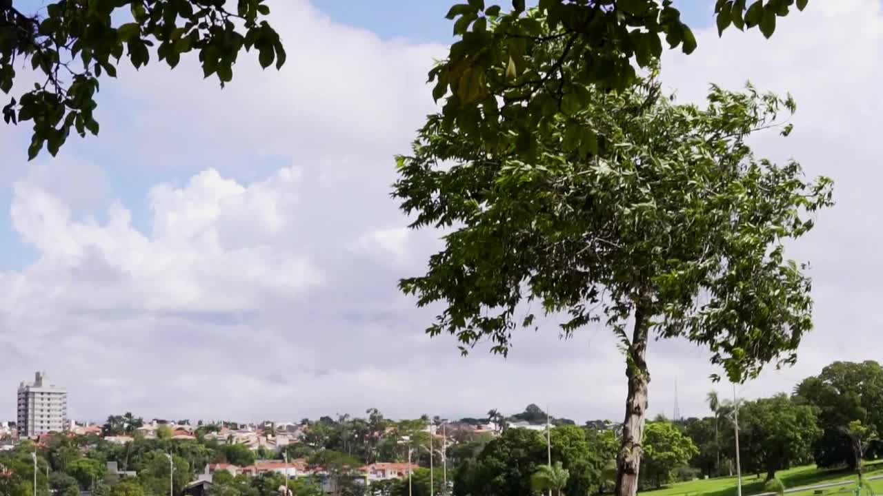 在巴西南马托格罗索州坎波格兰德的一个充满树木和绿色草坪的户外公园，土著民族的公园。视频下载