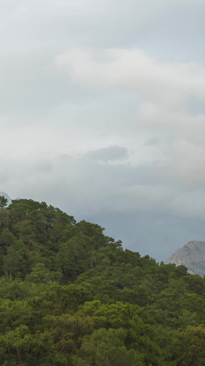 垂直视频。热带森林和远山，云飞走，雨开始和停止，改变照明。视频素材