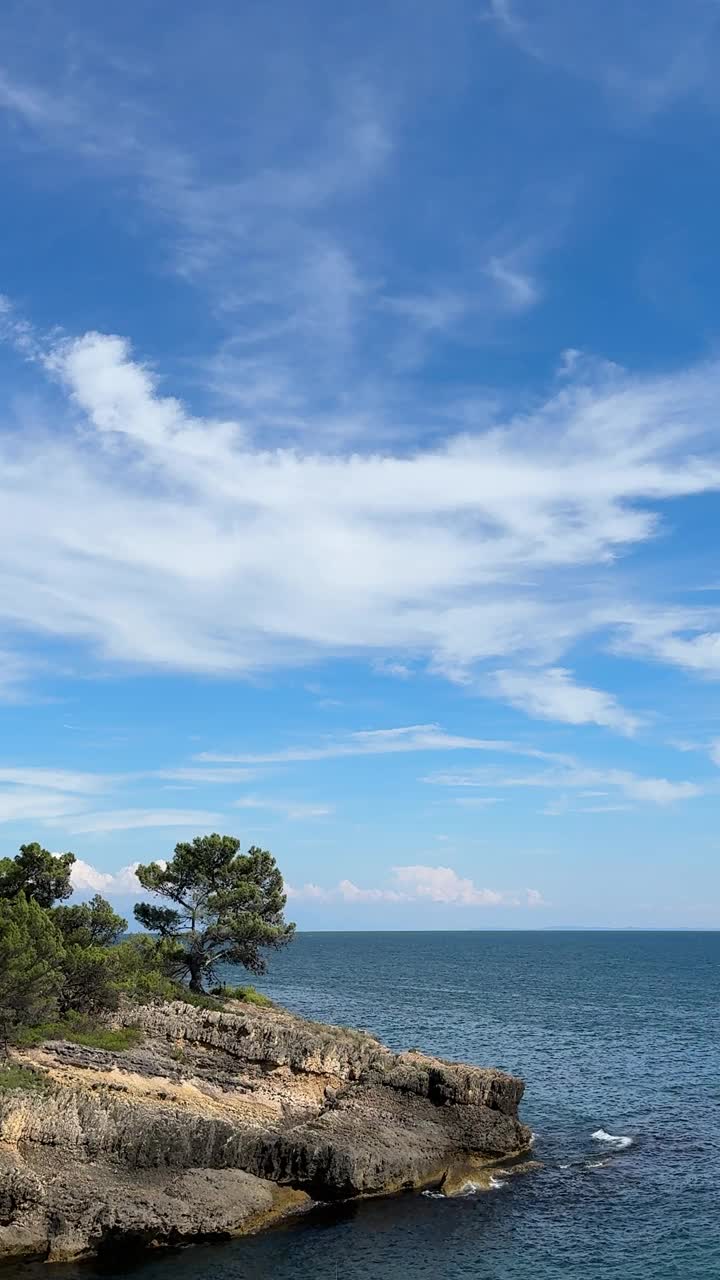 海和海岸岩石长满松树在夏天，垂直视频视频素材