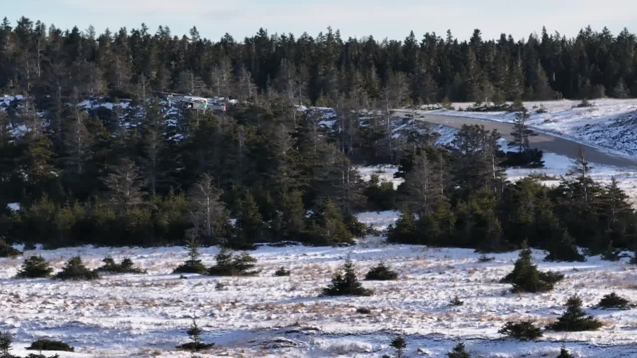 一架灰色小型无人机在松树林前的雪地上飞行视频素材