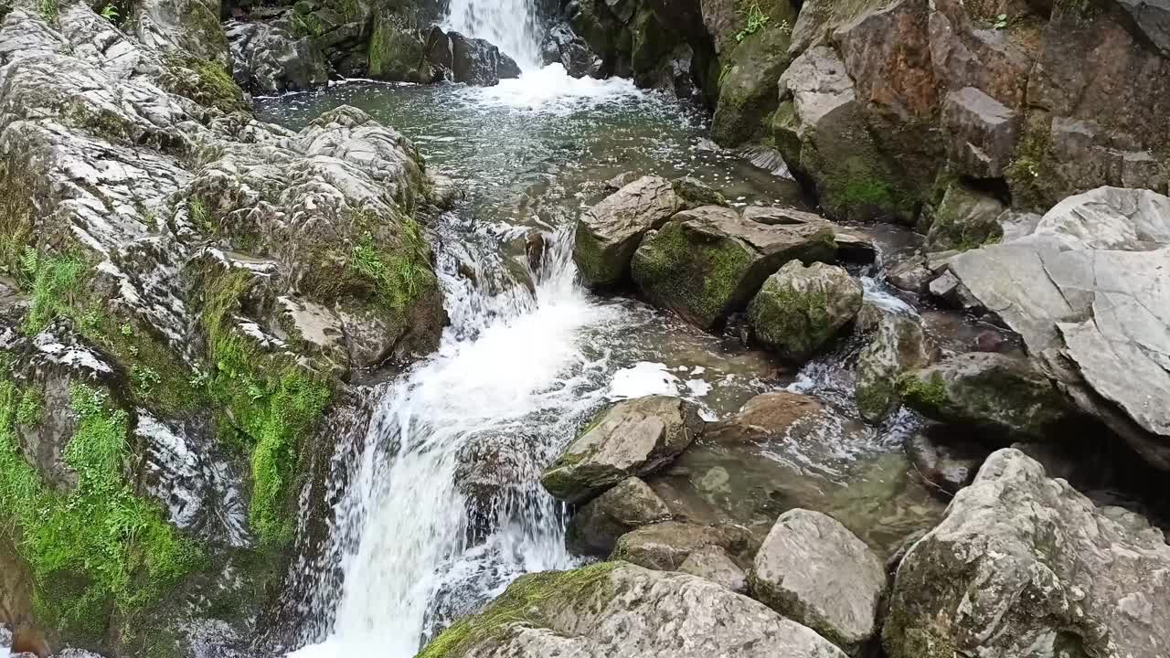 在一个阴天的夏日森林里，一条山河从一条裂缝流进一个狂风暴雨的石碗里。视频下载