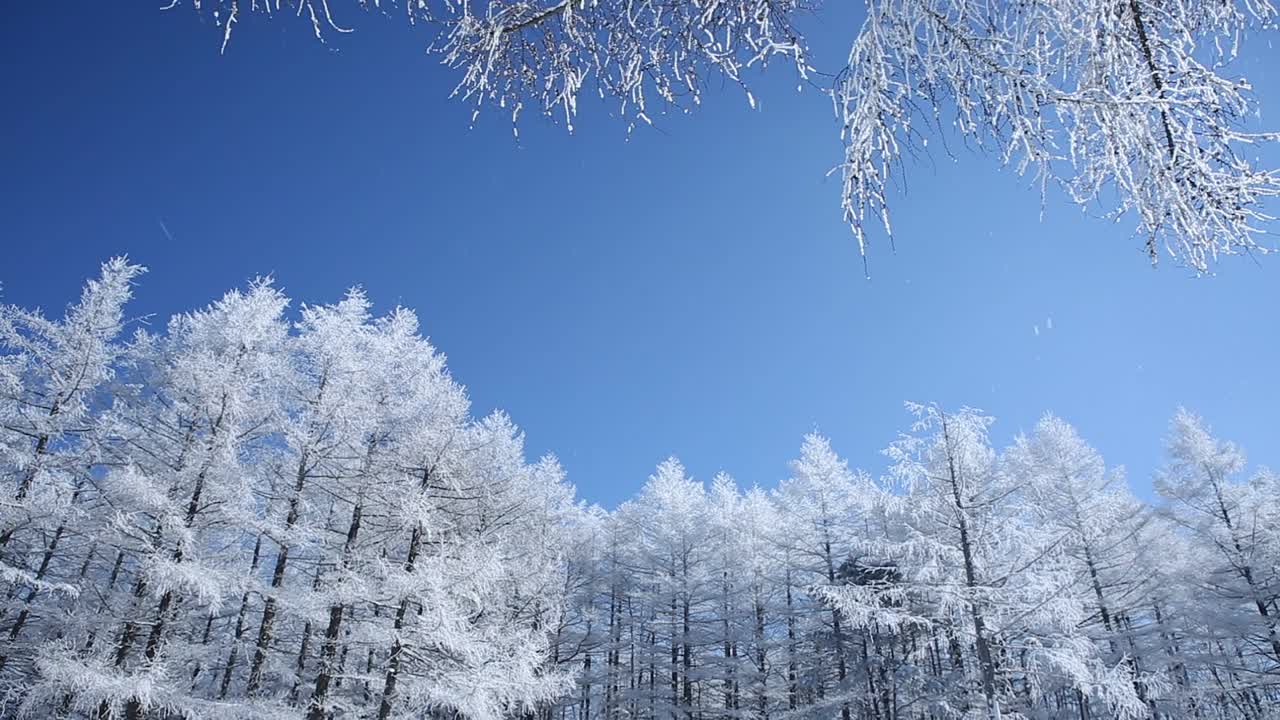 江原道、万hangjae和雪景/韩国视频素材