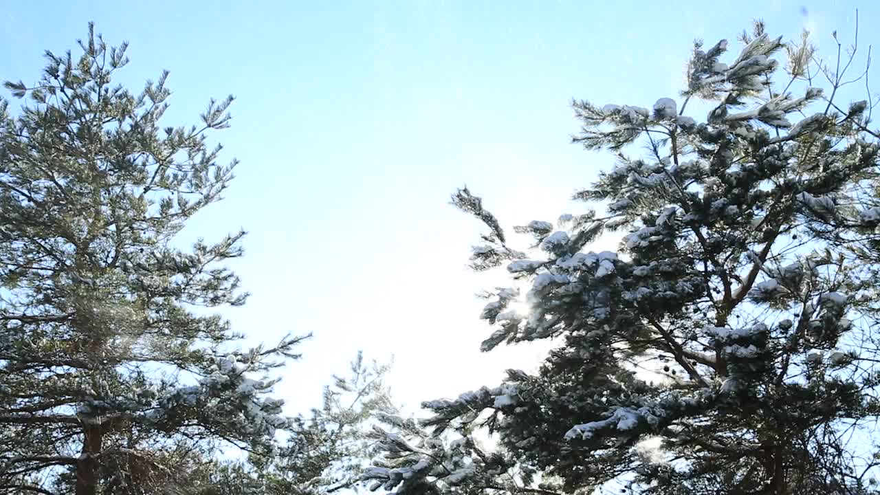 江原道、太极山和雪景/韩国视频素材